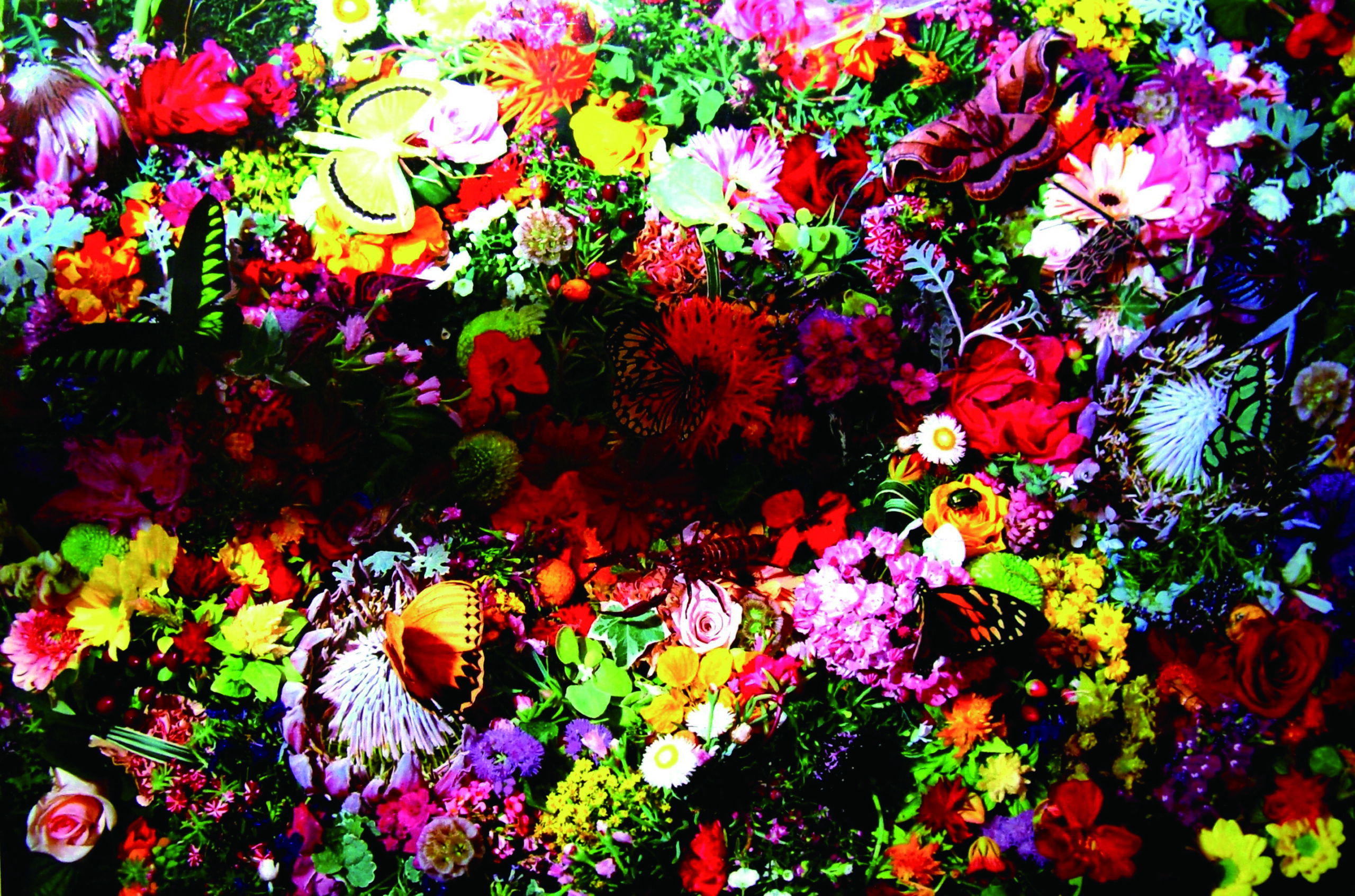 SHADOW 2006 Mixed media on canvas 112×146cm SHADOW 2006 Mixed media on canvas 112×146cm