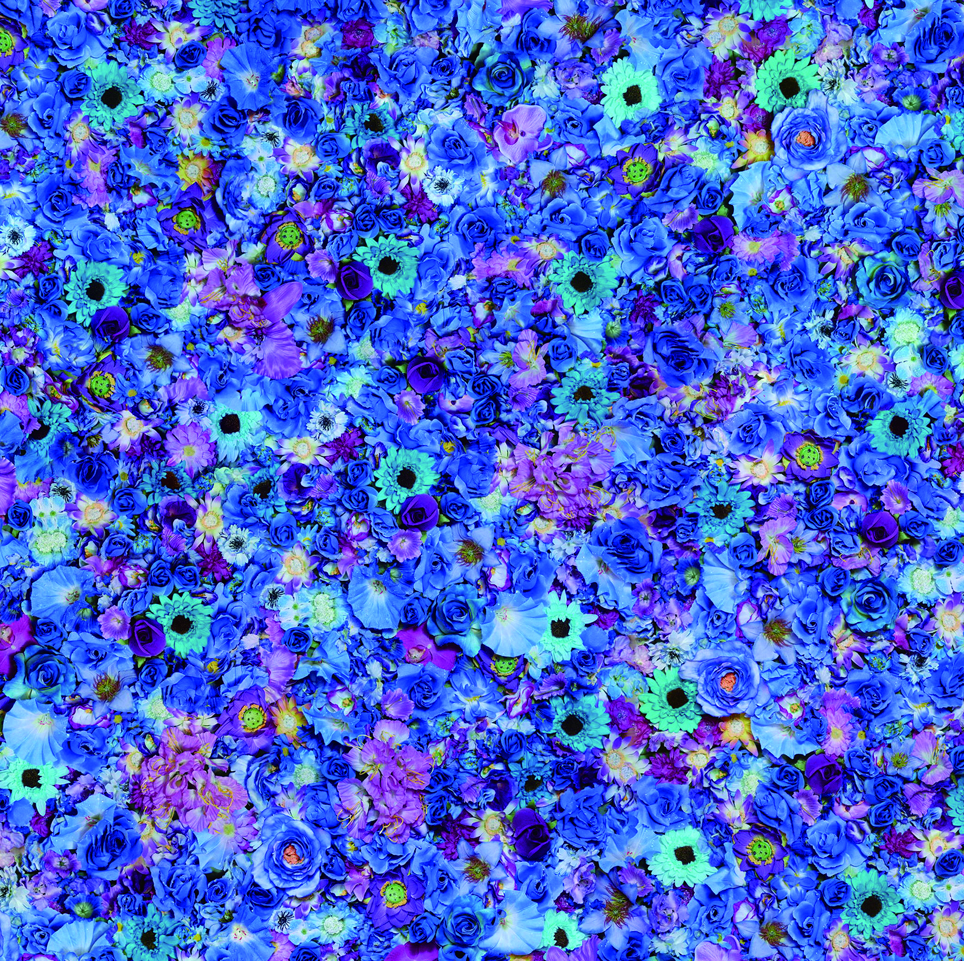 FLOWER BLUE 2010 Mixed media on canvas 145.5×145.5cm