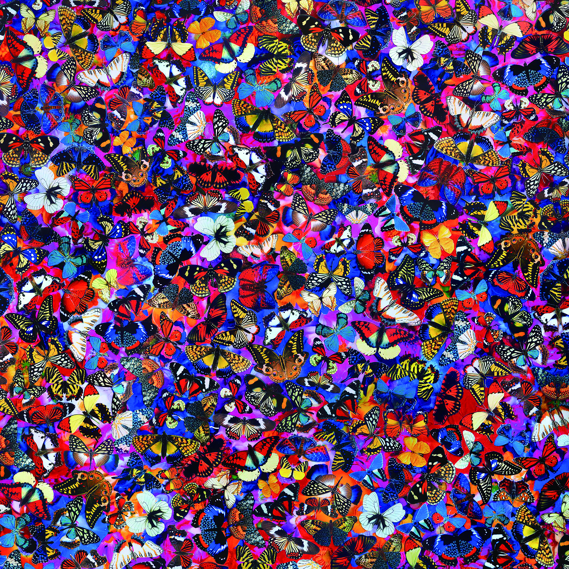 FLOWER BUTTERFLY S4001 2020 Mixed media on canvas 100×100cm