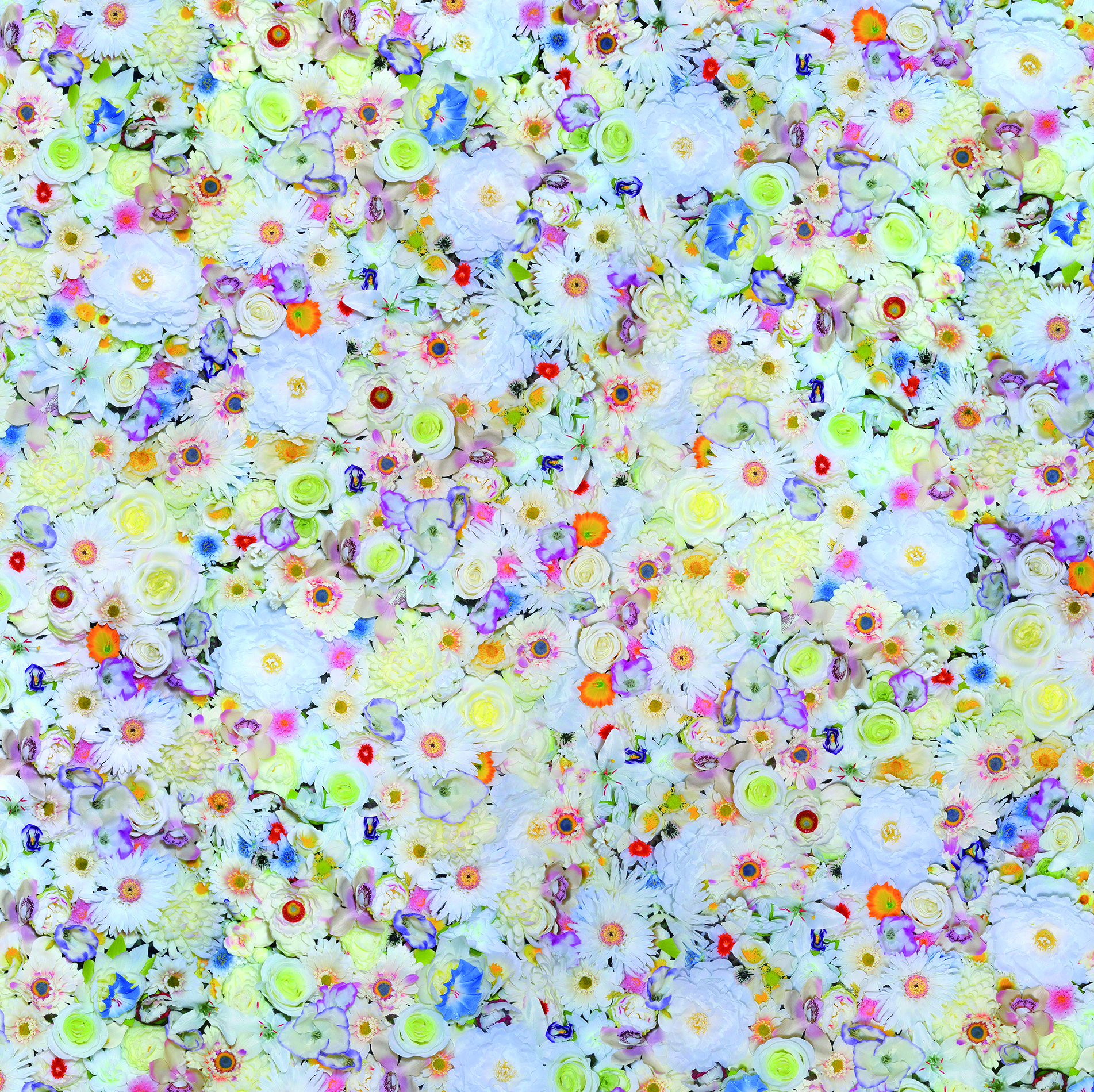 FLOWER WHITE 2010 Mixed media on canvas 145.5×145.5cm